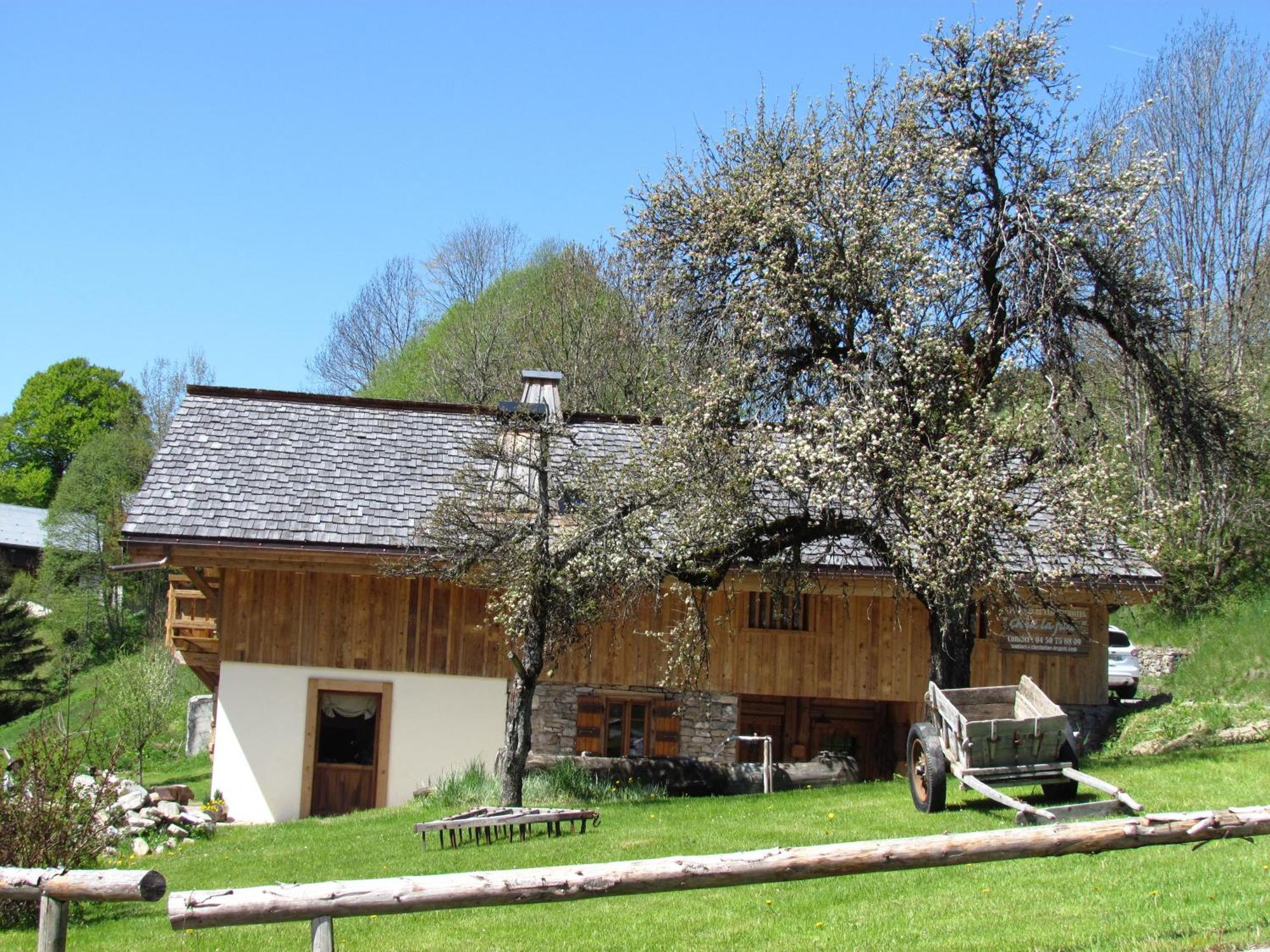 Chez La Fine Bed & Breakfast Les Gets Exterior foto